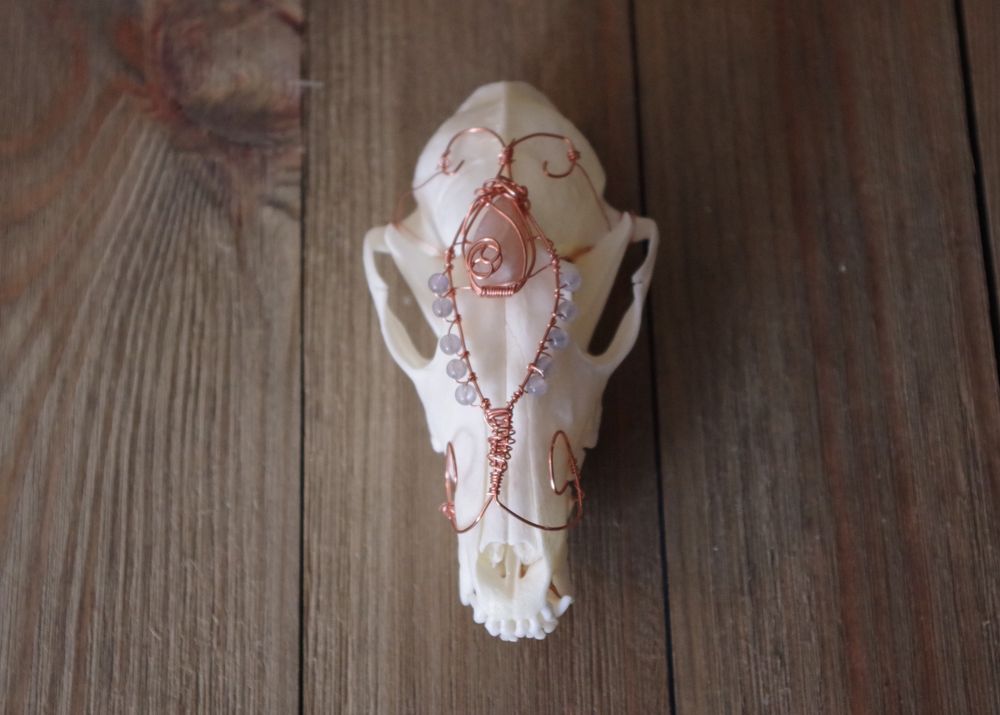 Atropos - Boneyard #3