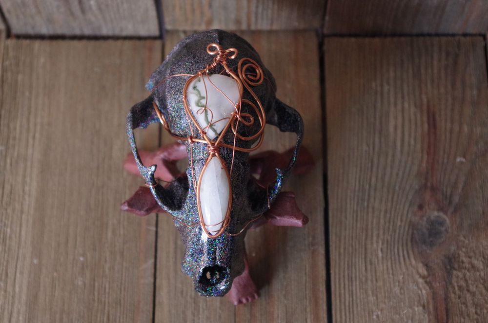 Mother of Stars - Raccoon Skull Art